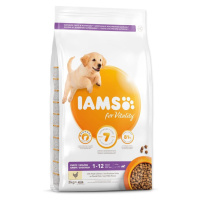 IAMS Dog Puppy Large Chicken granule pro psy 1 kus, Hmotnost balení (g): 12 kg