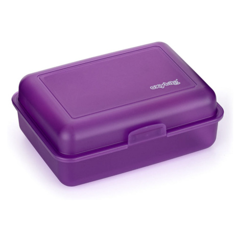 KARTON PP - Box na svačinu fialová-matná Karton P+P