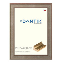 DANTIK rámeček 29,7 × 42, TOOTH malý stříbrný plexi čiré