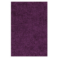 Ayyildiz koberce Kusový koberec Life Shaggy 1500 lila Rozměry koberců: 80x150