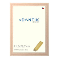 DANTIK rámeček 21 × 29,7, NPINO přírodní sklo čiré