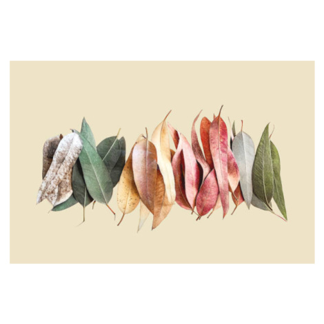 Ilustrace Creative layout made of green, gray, orange, red and purple leaves on beige background