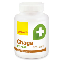 Wolfberry Chaga extrakt 120 kapslí