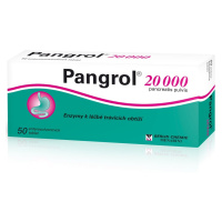 Pangrol 20 000 50 tablet