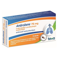 AMBROBENE 75 mg tobolky s prodlouženým uvolňováním 10 kusů