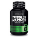 BioTech Tribulus Maximus 90 tablet