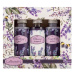 BOHEMIA GIFTS Lavender II.