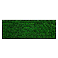 MossArtDeco Obraz 110 × 60 cm, tmavě zelený kopečkový mech, černý tenký rám