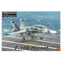 Zbytky F-18B Hornet