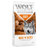 Wolf of Wilderness granule, 12 kg za skvělou cenu - Adult 