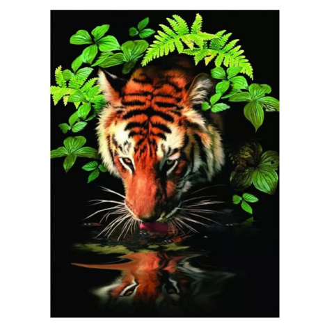 Malování podle čísel Tygr u vody 22x30cm s akrylovými barvami a štětcem na kartě SMT Creatoys
