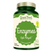 GreenFood Nutrition Enzymes Opti7 Digest 90 kapslí