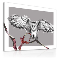 Obraz na plátně OWL A různé rozměry Ludesign ludesign obrazy: 100x70 cm