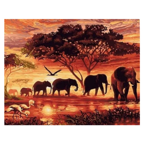 Malování podle čísel - Sloni v západu slunce 40 x 50 cm (s rámem) Figured ART