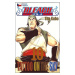 Bleach 10