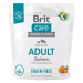 Brit Care Dog Grain-free s lososem Adult 1 kg