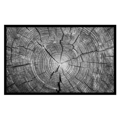 Rohožka Trunk 50x80 02010003 BAUMAX