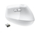 Logitech Wireless Mouse Lift for Business, off-white / pale grey