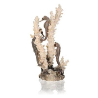 biOrb seahorses on coral přírodní M