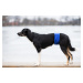 Vsepropejska Safe modrý protiznačkovací pás pro psa Obvod slabin (cm): 48 - 58