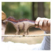 Schleich Amargasaurus