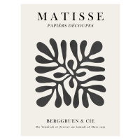 Ilustrace Matisse floral 1, Vitor Costa, 30 × 40 cm