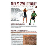 Přehled české literatury - Od počátku do konce 1. světové války pro ZŠ a SŠ