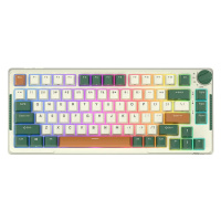 Klávesnice Royal Kludge RKH81 RGB wireless mechanical keyboard, Sky cyan switch (green)