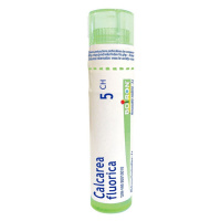 BOIRON Calcarea fluorica 5CH 4 g