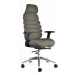 Kancelářská ergonomická židle SPINE s podhlavníkem — látka, nosnost 130 kg, více barev Zelená
