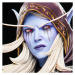 Socha Blizzard World of Warcraft - Sylvanas Premium