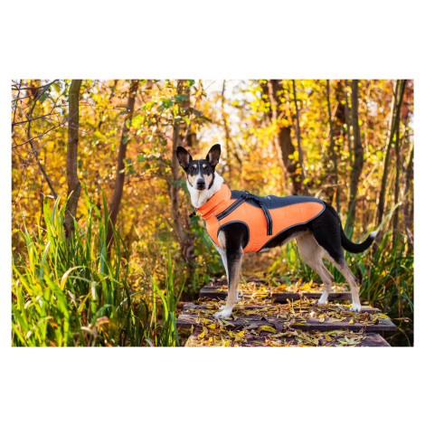 Vsepropejska Softshellová bunda pro psa s postrojem Barva: Šedo-oranžová, Délka zad (cm): 46, Ob
