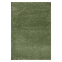 Zelený koberec 200x290 cm – Flair Rugs