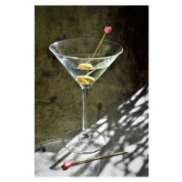 Fotografie Martini cocktail, Blanchi Costela, 26.7 × 40 cm