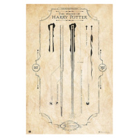 Plakát, Obraz - Harry Potter - The Wand, 61 × 91.5 cm