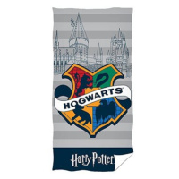 Chanar Dětská osuška Harry Potter Bradavický Hrad