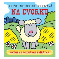 Na dvorku - Podívej se, kdo se schovává - David Crossley