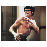 Fotografie Bruce Lee Karate Stance, Archive Photos, 40 × 30 cm