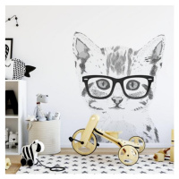 Nálepka na zeď v podobě koťata s brýlemi