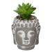 Dekoria Dekorace Succulent III Buddha 17cm, 10 x 10 x 17 cm