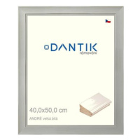 DANTIK rámeček 40 × 50, ANDRÉ velký Bílý plexi čiré