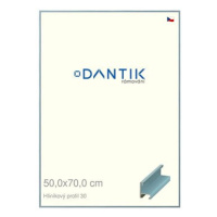 DANTIK rámeček 50 × 70, ALU profil 6030 Dýha barevný modrý pastel plexi čiré