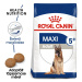 Royal Canin Maxi Adult 5+ - granule pro stárnoucí psy velkých plemen 4 kg
