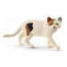 Schleich 13894 Farm World American Shorthair Cat