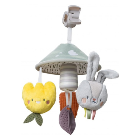 Hračky pro nejmenší Taf Toys