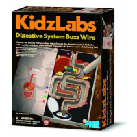 Kidzlabs trávící systém