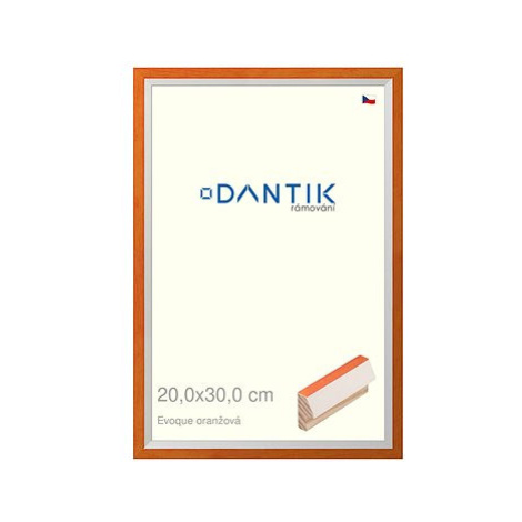 DANTIK rámeček 20 × 30, EVOQUE oranžový sklo čiré