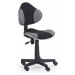 Barva židle FLASH: černá / šedá