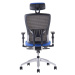 Kancelářská ergonomická židle Office Pro HALIA MESH SP – s podhlavníkem, více barev Černá 2628
