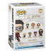 Funko POP Filmy: HP POA- Harry s koštětem (Quidditch)